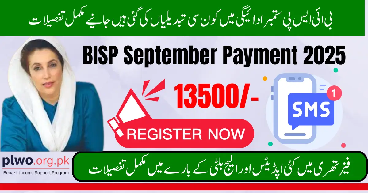 8171 BISP September Payment 2025 Check Your CNIC for Latest BISP Payment Status and  Registration Updates