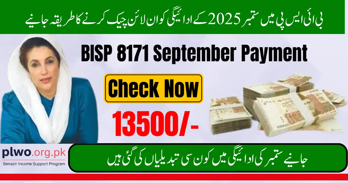 BISP 8171 September Payment Check Online By CNIC 2025