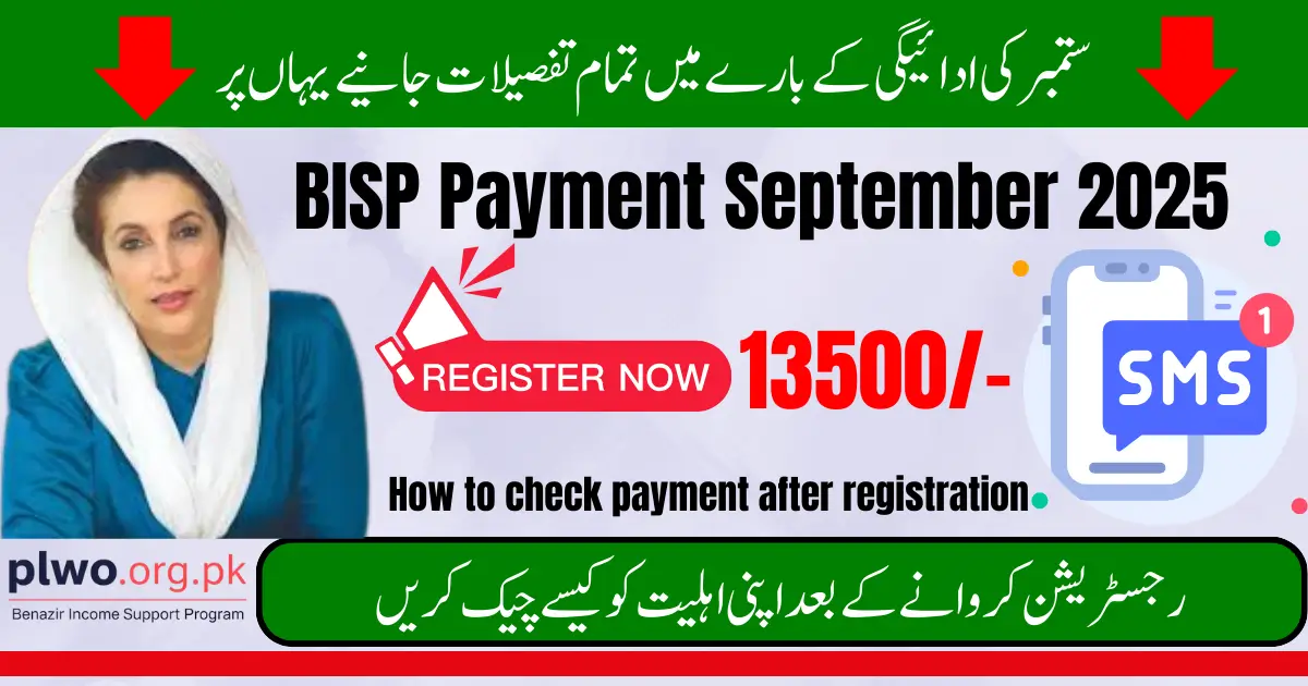 BISP Payment September 2025 Online Registration Complete Details
