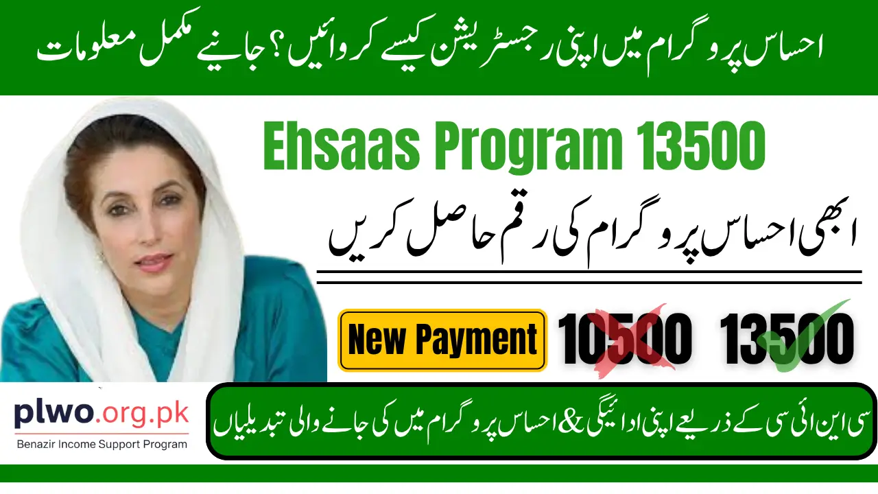 Complete Guide to Ehsaas Program 13500 Registration and Online Status Check 2025