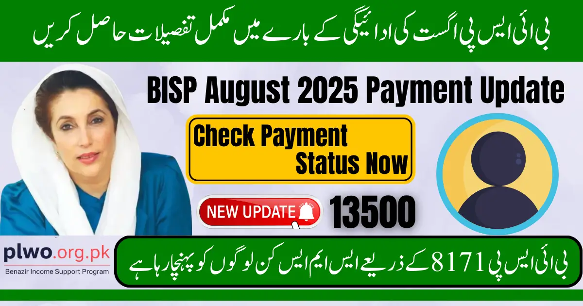 BISP August 2025 Payment Update & Check Status Online Now 