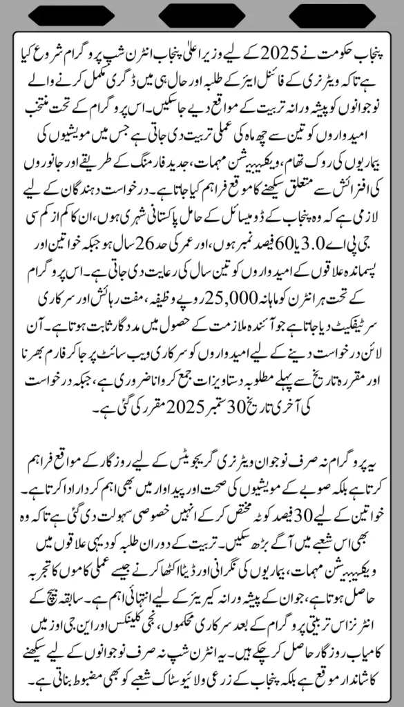 CM Punjab Internship Program